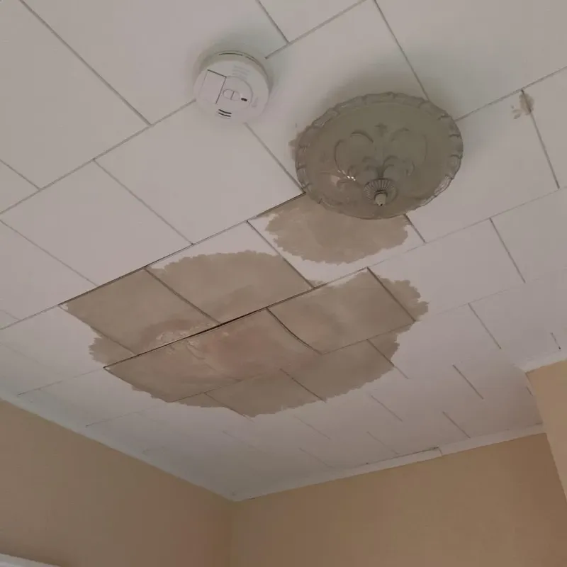 Ceiling Water Damage Repair in Columbiana, OH