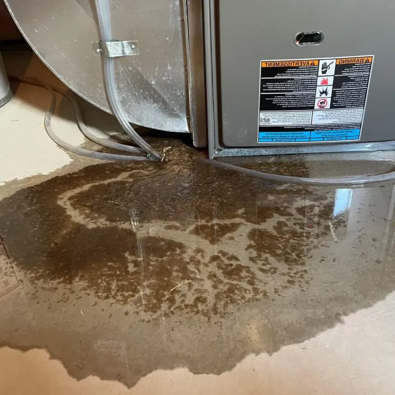 Pipe Burst and Leak Restoration in Columbiana, OH