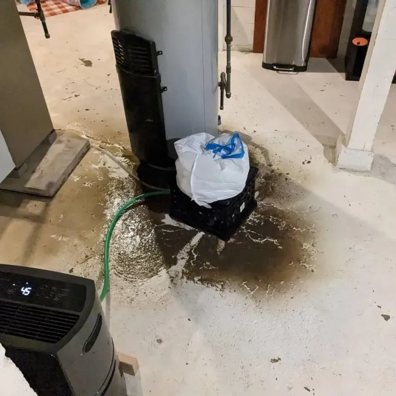 Sewage Backup Cleanup Service in Columbiana, OH